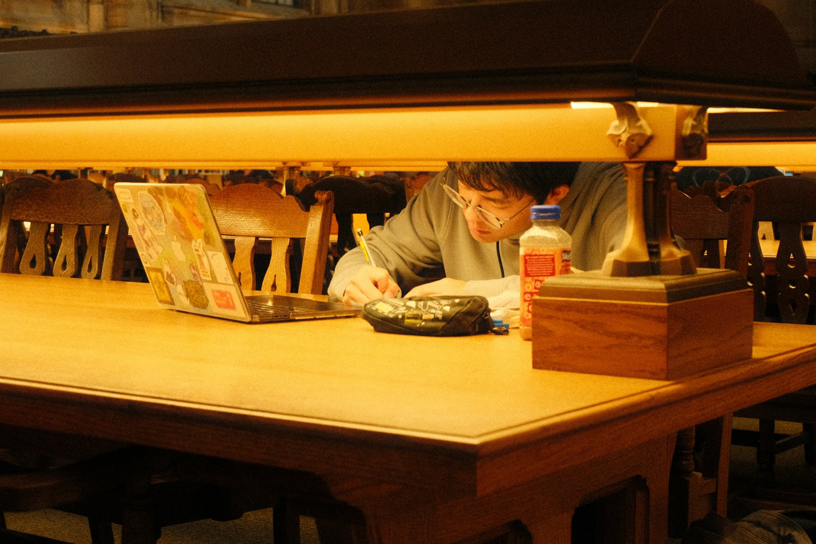 Student studying with a laptop in a library